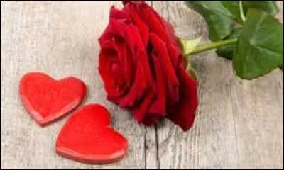 "Laisse-moi t'aimer !" - Quel cri du cur ! Qui a tant besoin d'amour ?