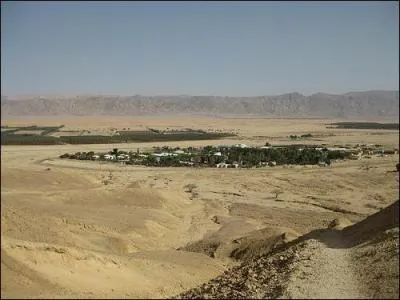 En Isral, quelle exploitation agricole fonctionne en cooprative ?