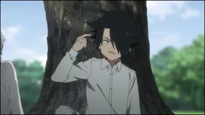 Que fait souvent Ray ?