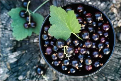 Quel fruit existe en variétés noire, rouge et blanche ?