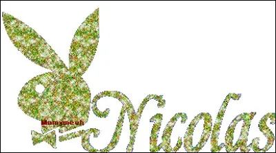 Quelle chanteuse est l'interprète de la chanson "Nicolas" ?