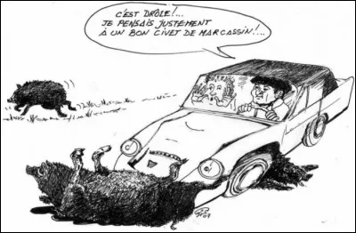 Perles de la gendarmerie. Rencontre entre une auto et un sanglier, constat du gendarme !