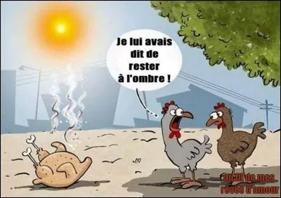 Perle écolière. La canicule est peut-être ...