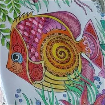 Lequel de ces poissons est classé parmi les plus dangereux au monde, en raison de son venin mortel ?