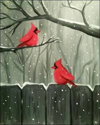 Où pourrez-vous rencontrer ce magnifique oiseau appelé "Cardinal rouge" ?