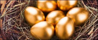 Qu'est-ce qu'un uf "miroir" ?