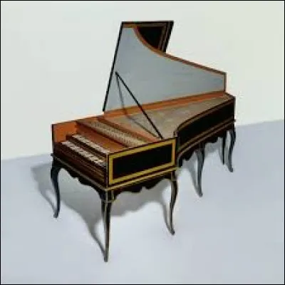 Quel est cet instrument présent ?