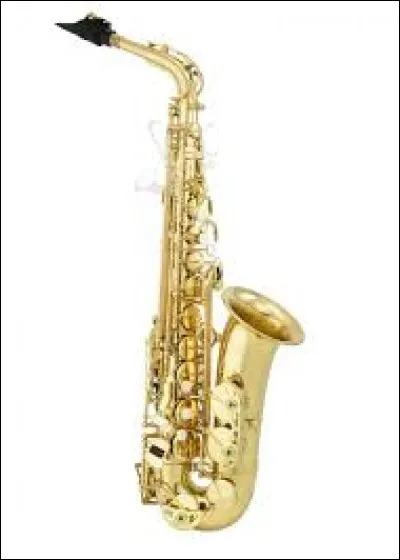 De quelle famille fait partie cet instrument ?