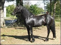 On l'utilisait dans :