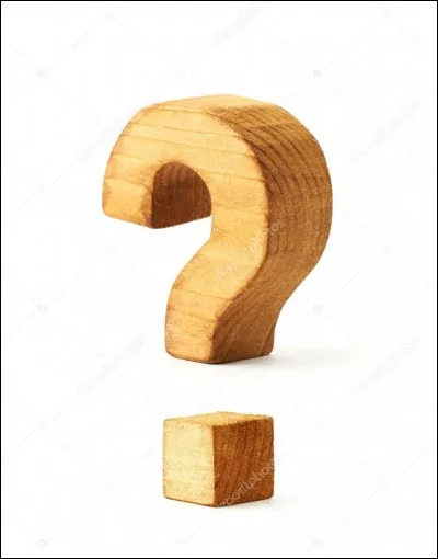 Pour toi, un parent, c'est :