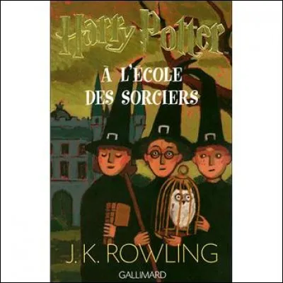 En quelle année est "né" le premier roman ?