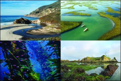 Quel serait ton habitat id&eacute;al ?