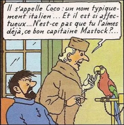 "Coco" est le nom du perroquet de la Castafiore, personnage récurrent des albums de Tintin. Quel est son prénom ?