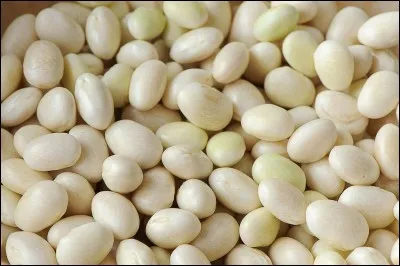 "Le Coco de Paimpol" est une appellation d'origine protégée. Dans quelle région se situe Paimpol ?