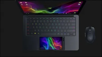 Le cerveau de tout système informatique est...