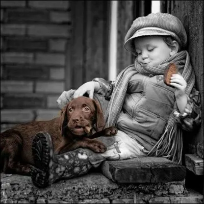 L'histoire se passe en Irlande, un petit enfant abandonné est d'abord exploité par un Marionnettiste, puis placé dans une école pour déshérités... Qui a écrit ce livre intitulé "P'tit Bonhomme" ?