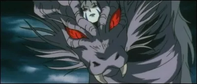 Qui est Ryūkotsusei ?