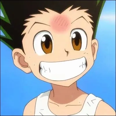 C'est l'histoire d'un garçon de 12 ans qui veut retrouver son père. Pour ça il fera le même métier que lui. Il se fera des amis pendant l'examen d'admission. C'est dans :