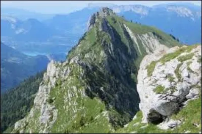 Il chantait "La montagne" dans les années 60, il s'agit de...