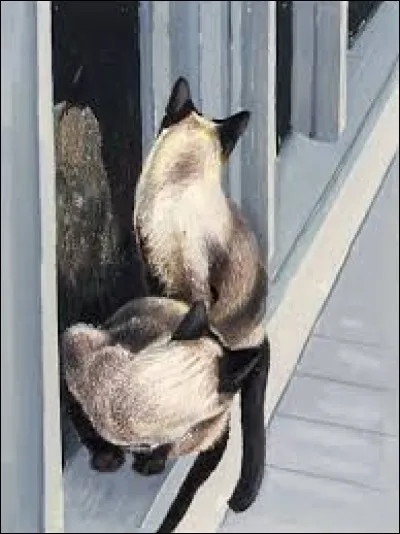 Quelle est cette race ?