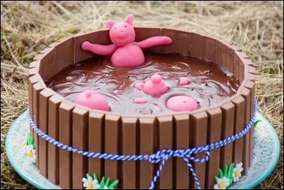 Saint-Tropez est connue pour sa...