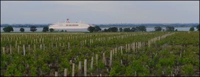 Quel domaine viticole est situé à Gassin, non loin de Saint-Tropez ?