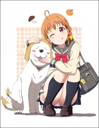 Comment s'appelle ce chien ?