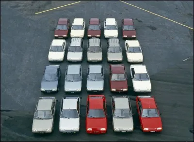 Quel est le détail distinctif qui caractérise les BX haut de gamme non sportives ?