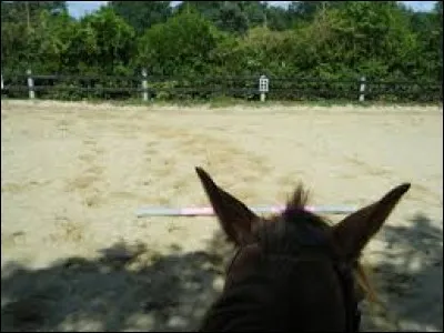 Les barres au sol...