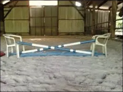 Sur une barre au sol ou un petit obstacle...