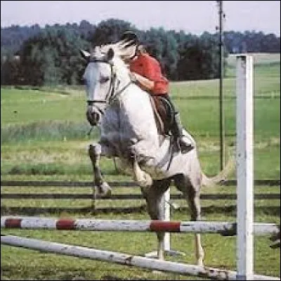 Et pour finir, comment aborder un obstacle ?