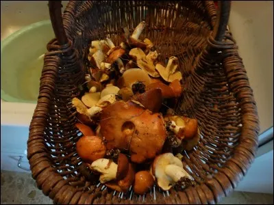 Ils ont chanté "Voilà L'été" !