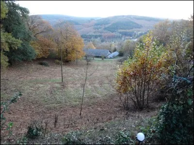 Bourvil a chanté un insecte bourdonnant !