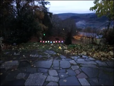 Un bon petit diable, à la fleur de l'âge ...