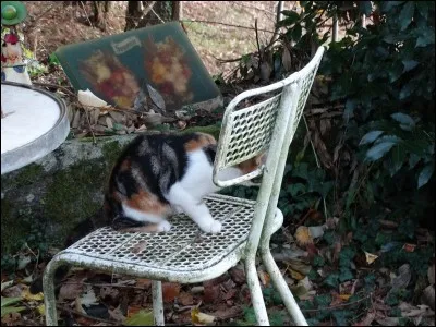 T'as beau pas être beau, oh oh oh oh...