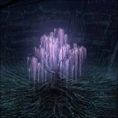 Dans quel film peut-on voir cet arbre sacré, appelé "Arbre des Âmes" ?
