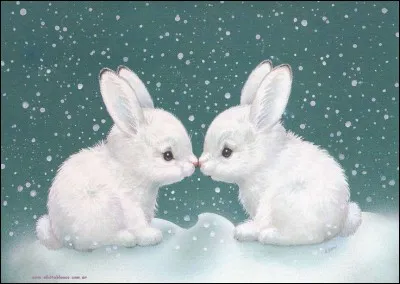 La cohabitation est-elle possible entre 2 mâles non castrés ?