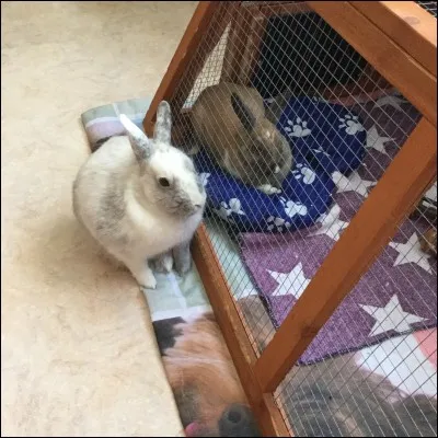 Quelles sont les étapes de cohabitation ?