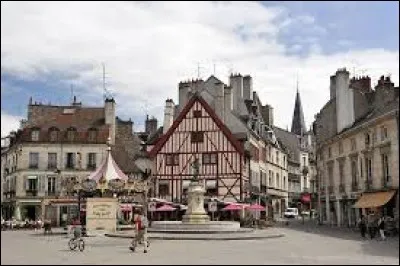 Quelle ville est réputée pour la moutarde ?