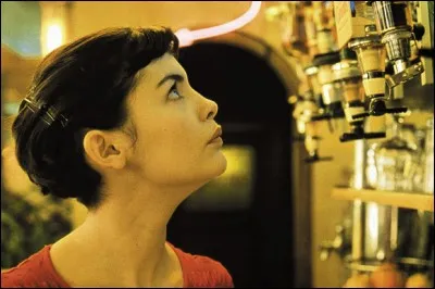 Qui a réalisé "Le Fabuleux Destin d'Amélie Poulain" (2001) ?