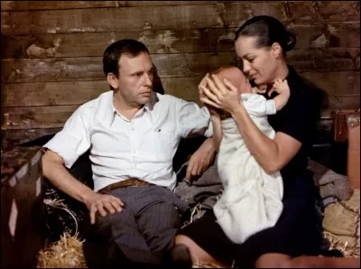 Quel réalisateur français a tourné le film "Le Train" (1973) avec Romy Schneider et Jean-Louis Trintignant ?