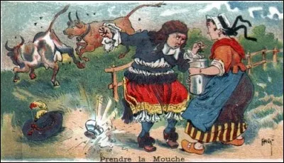 Si je vous dis « Prendre la mouche », vous répondez :