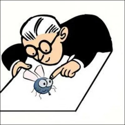 Si je vous dis « Ne pas faire de mal à une mouche », vous répondez :