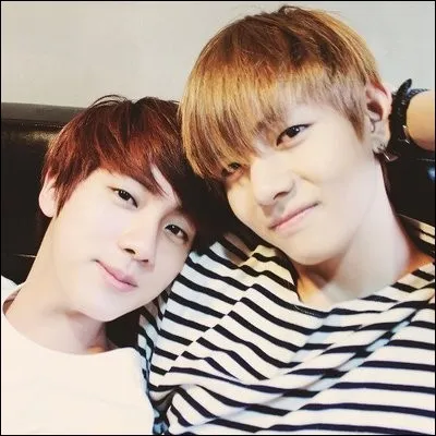 Quels sont les signes astrologiques de Jin et Tae ?