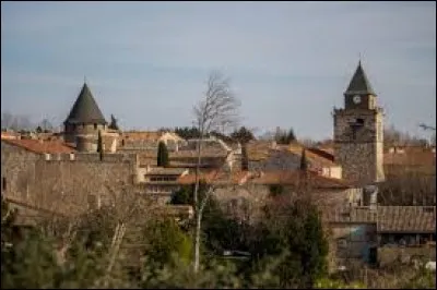 Pour finir, je vous propose de partir à la découverte de Villeneuve-Minervois. Commune viticole de l'agglomération Carcassonnaise, dans le vignoble des Côteaux-de-Peyriac, elle se situe dans le département ...