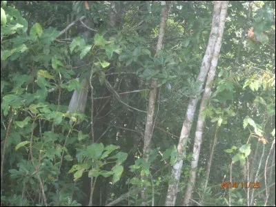 Un hymne à l'amour pour continuer, allez tiens "Unchained Melody", juste pour voir !
