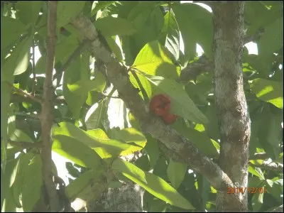 Si les vacances outre-atlantiques vous tentent, j'ai ce qu'il vous faut, je vous propose "Holiday" !