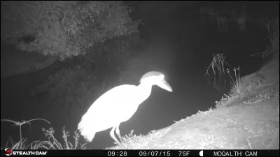 Si vous trouvez son nom, vous serez vous aussi un homme heureux !