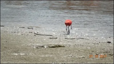 Tout nu et tout bronzé - On est bien, on est beau - Quand revient l'été !