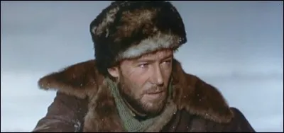 Anthony Quinn, un Inuit nommé Ikuk, tue un missionnaire qui a refusé sa femme offerte selon les traditions de hospitalité inuite. Le meurtrier est pourchassé dans les régions de l'Arctique polaire par deux policiers canadiens dont l'un est incarné par Peter O'Toole dont c'était son premier rôle au cinéma. Le titre français de ce film est ...